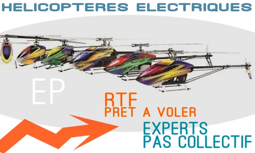 Experts