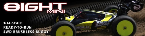 Mini 8ight 1/14