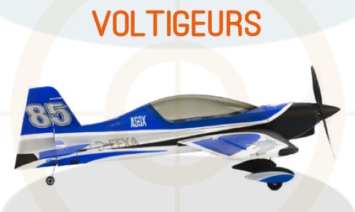 Voltigeurs