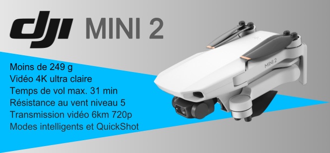 Mini 2