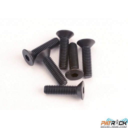 Vis BTR Tête fraisée 3X12MM (6)
