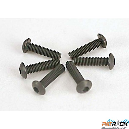 Vis BTR tête bombée 3x12mm (6)