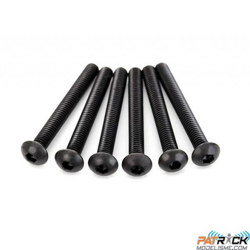 Vis BTR tête bombée 4x30mm (6)