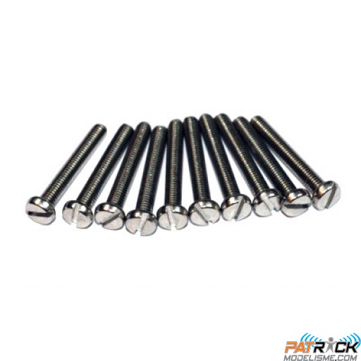 Vis Inox à tête cylindrique 2x30mm 10 pièce(s)