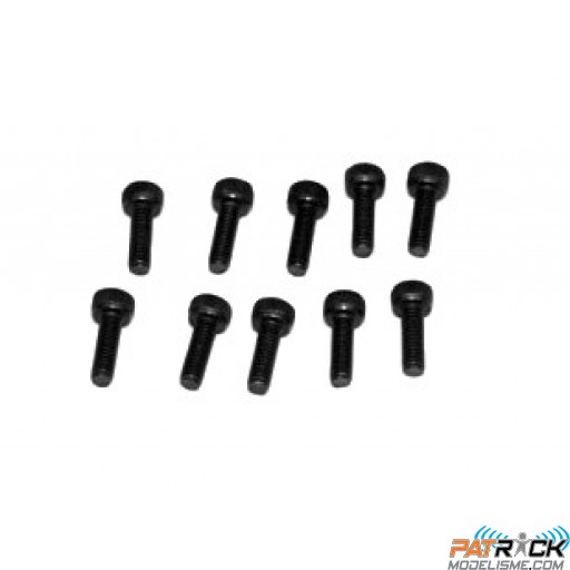 Vis BTR 2.5x8mm (10 pcs) Excellium