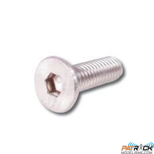Vis BTR inox à têtes fraisées 3x6 10 pièces