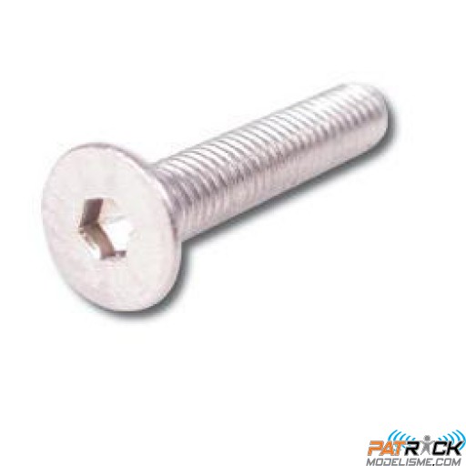 Vis BTR inox à têtes fraisées 3x16 10 pièces