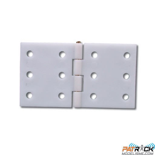 Charnière assemblé 34x16mm 10 pièce(s)