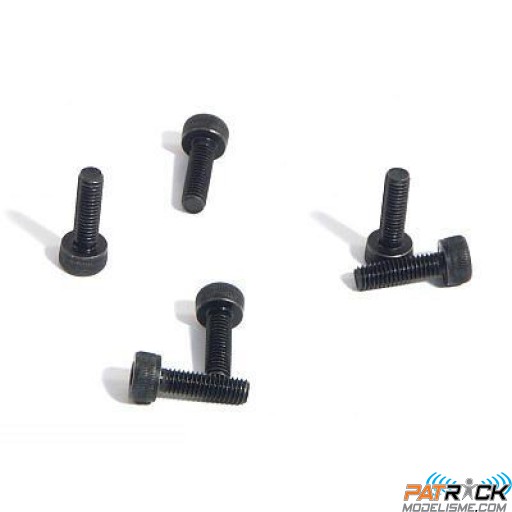 Vis M3X10mm 6 pièces