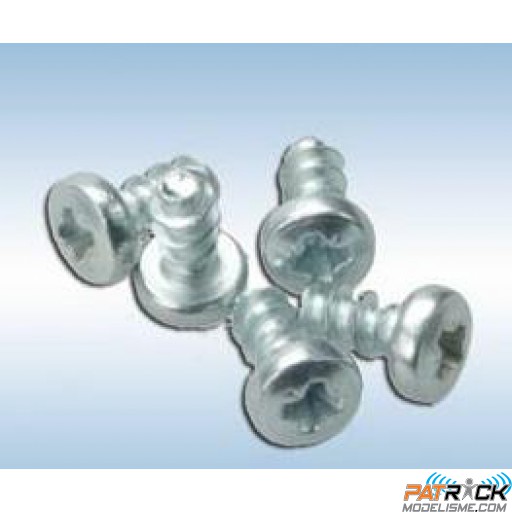 Vis métal 2,9x6 5 pièce(s)