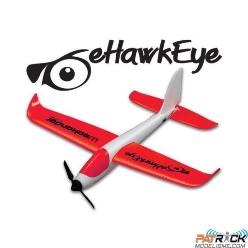 Planeur eHawkeye RR by Hitec WEEKENDER