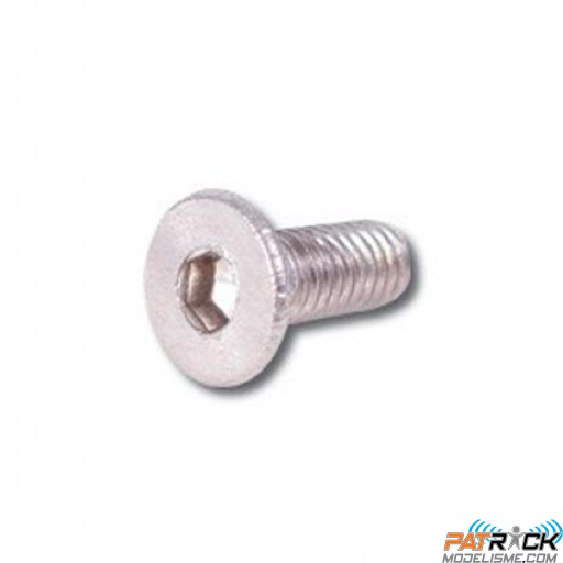 Vis BTR inox têtes fraisées 3x8 10 pièces