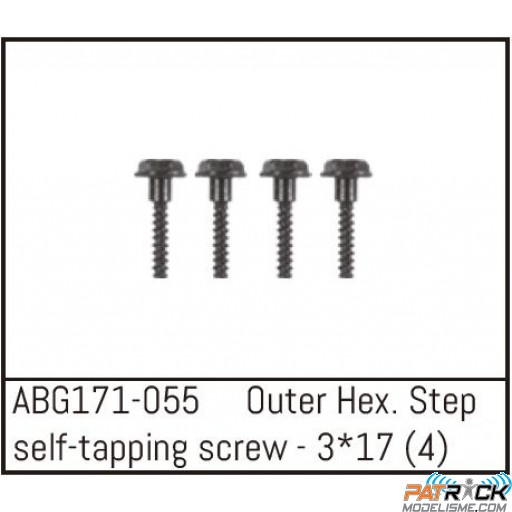 Set de vis de roues pour G171/172/173/174 Absima 1/14e