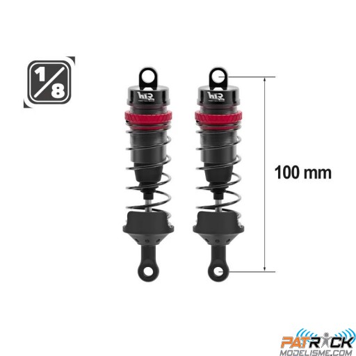 Paire d'amortisseurs 1/8e 100mm BIG BORE 16mm + kit 3 ressorts (H/M/S)