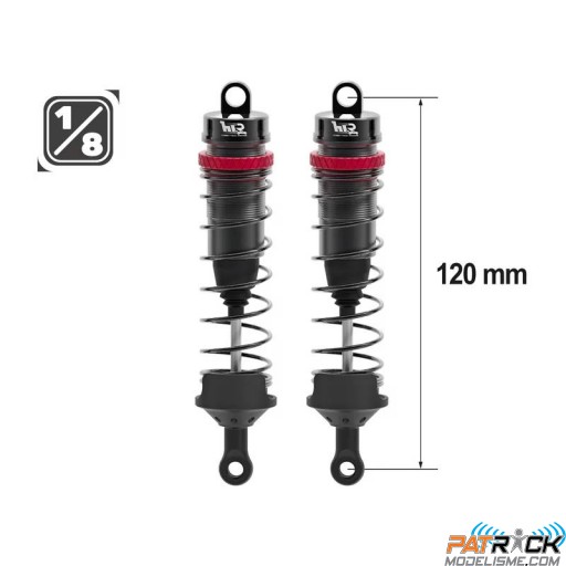 Paire d'amortisseurs 1/8e 120mm BIG BORE 16mm + kit 3 ressorts (H/M/S)
