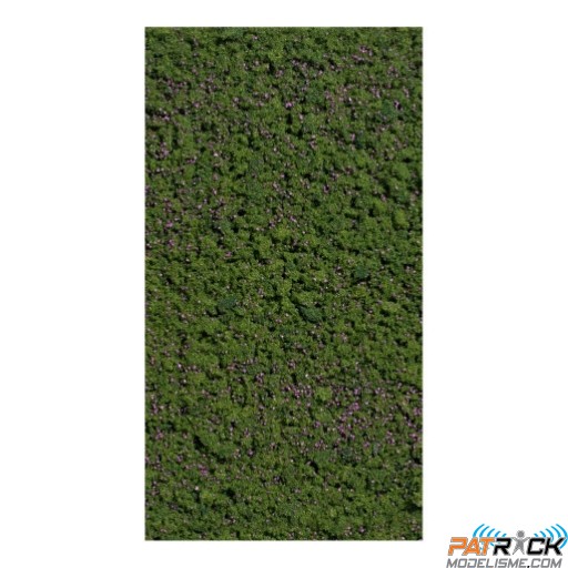 Flocage Myrtilles 150x80mm Busch