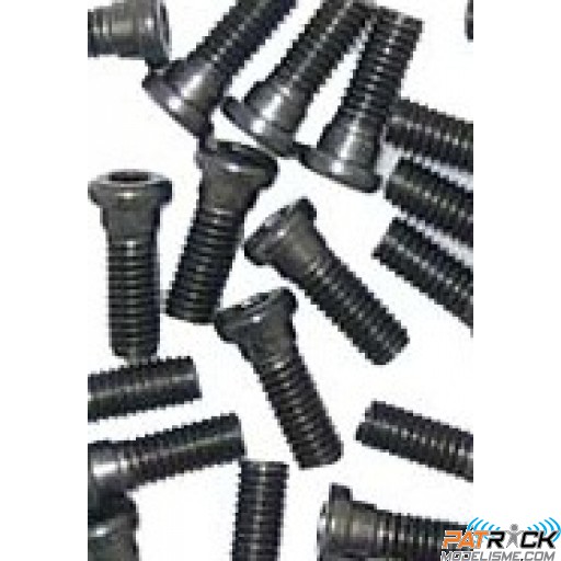 Sachet de vis 2.5X5mm - DJI F550/F450/F330/S800