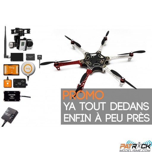 DJI F550 E300 - Moteurs + Contrôleurs + Naza-M V2 + Zenmuse H3-3D + Datalink 2.4 + Mini iOSD + Can-Hub + Train