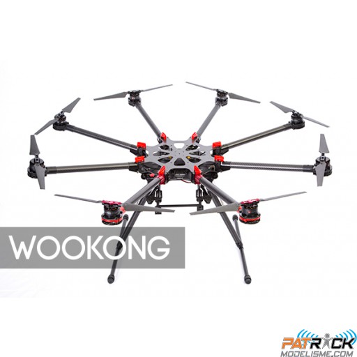 ∆ DJI S1000 PREMIUM + WOOKONG M
