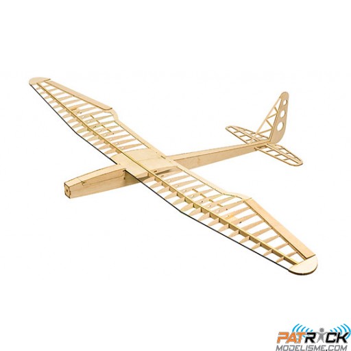 Dancing Wings Hobby Planeur SUNBIRD EP 1600mm kit SUR-COMMANDE