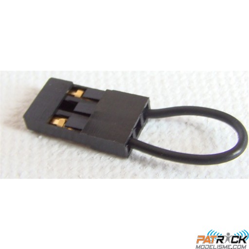 Bind Plug universel pour appairer votre radiocommande 2,4GHZ