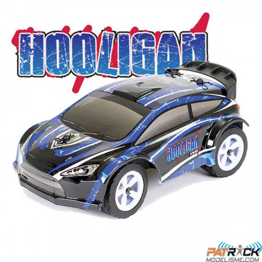 FTX HOOLIGAN JNR Rally Bleu 1/28e Prête à rouler
