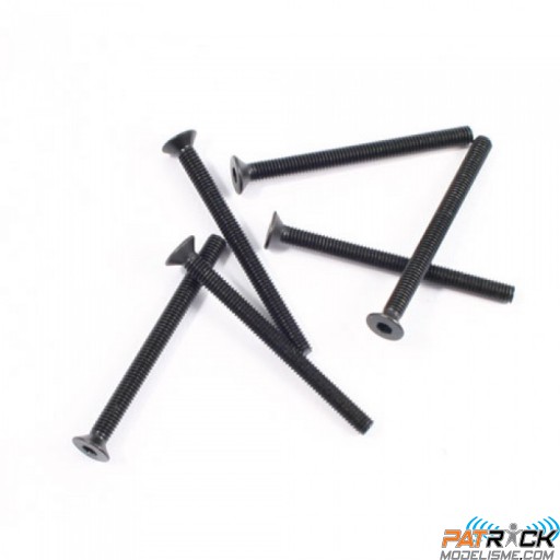 Jeu de vis hex tête plate FTX 6PCS M3*36