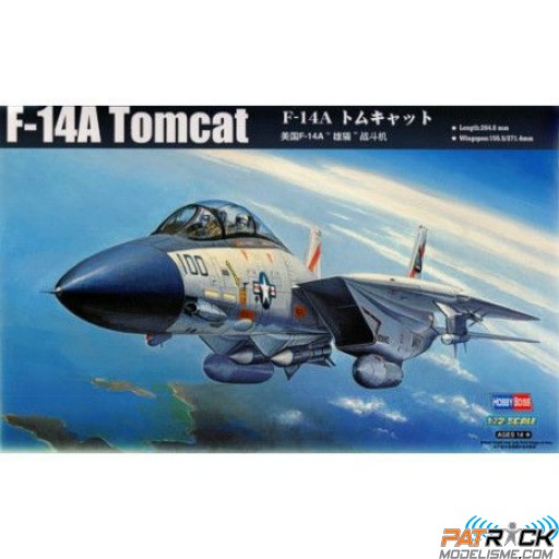 1/72e Hobby boss F-14A Tomcat