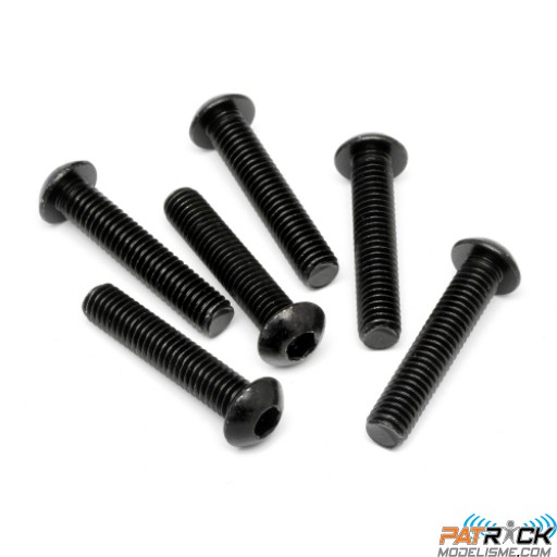 Vis tête ronde 5x16mm btr 6 pièce(s)
