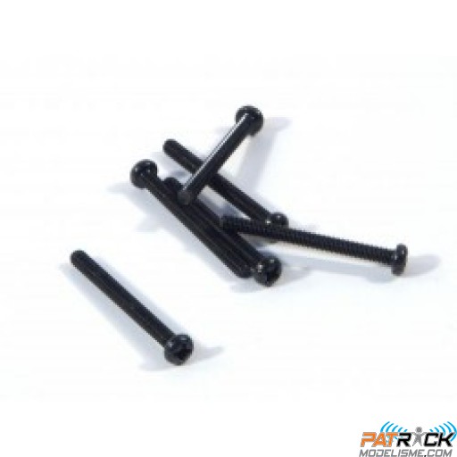 Vis BTR tête bombée M3x30mm 6 pièces