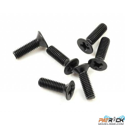 Vis tête fraisée M3x10mm 6 pièces