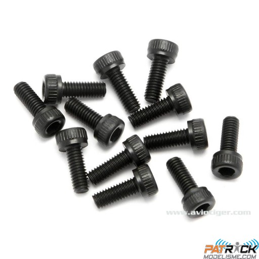 Vis BTR tête cylindrique M3x8mm 12 pièces