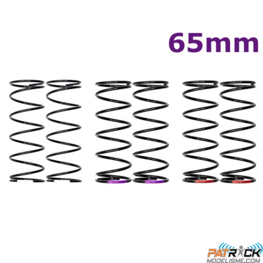 Kit ressorts amortisseurs HTR Racing Big Bore avants 65 mm 3 densités 1/8e