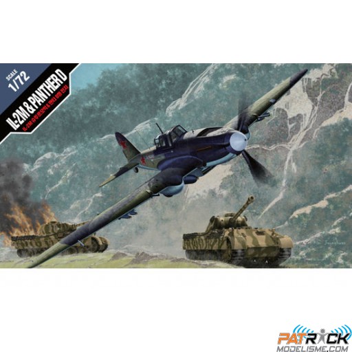 1/72e Academy IL-2M + Panther D Combo