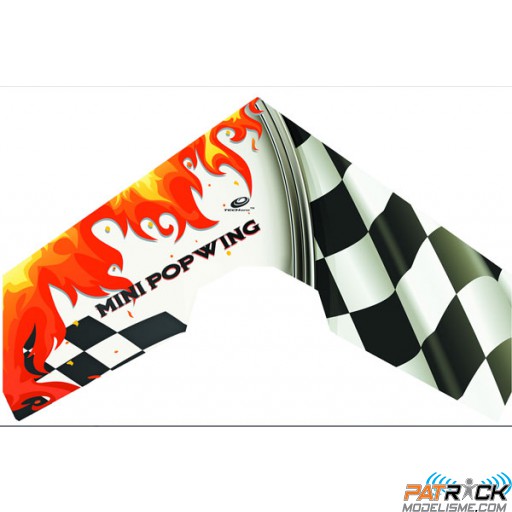 Aile volante TechOne Hobby Mini Popwing-600 ARF