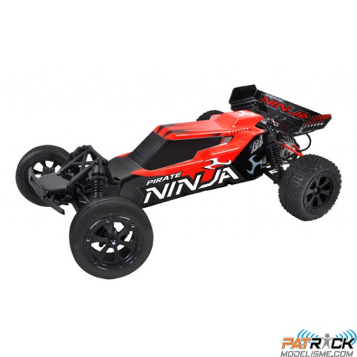 T2m Pirate Ninja RTR 1/10
