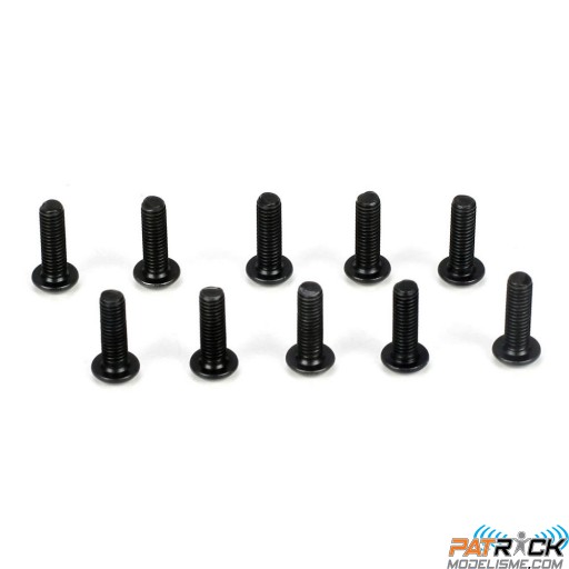 Vis à tête bombée M3x10mm (10)