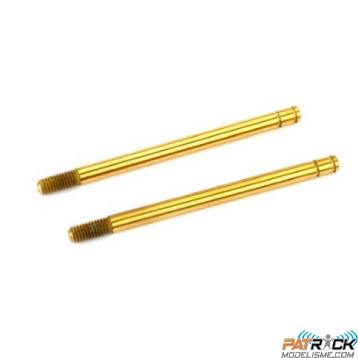 Tiges d'amortisseurs 3x47mm traitées Nitrure Titane - TRX-4