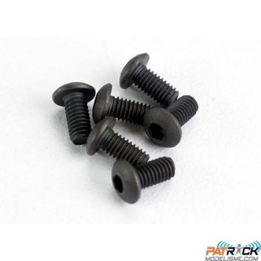VIS Tête Ronde 3x6 mm (6)