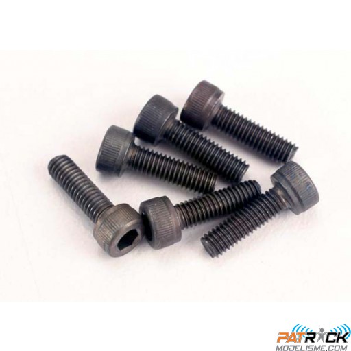 Vis BTR Tête Cylindrique 3x12 mm (6)