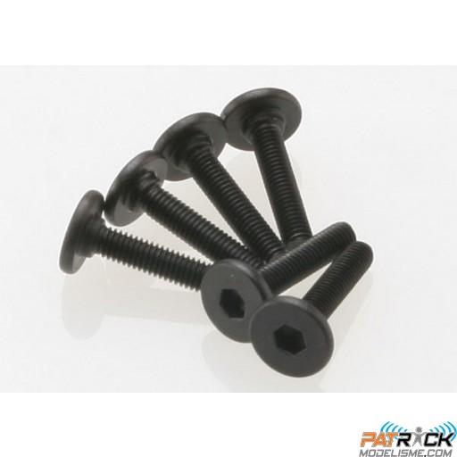 Vis BTR 3x15mm tête plate (6)