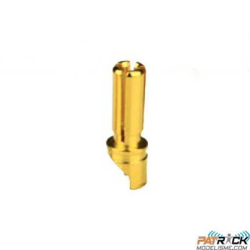 Prise PK/OR 5,5mm male