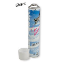Bombe air comprimé pour aérographe 750mL