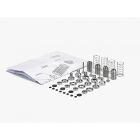 Kit amortisseur hydraulique aluminium Carisma GT24