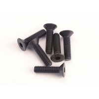Vis BTR Tête fraisée 3X12MM (6)