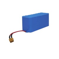 Batterie LIFEPO 6,4V 15,6Ah de JOYSWAY HOBBY