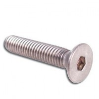 Vis BTR inox à têtes fraisées 4x20mm 10 pièces
