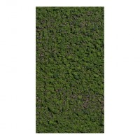 Flocage Myrtilles 150x80mm Busch