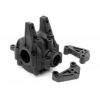 Cellule de diff avant D4 hpi