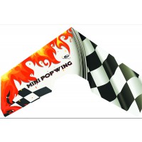 Aile volante TechOne Hobby Mini Popwing-600 ARF
